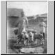 Jemima & Fern Crittenden feeding lambs 1930s.jpg
